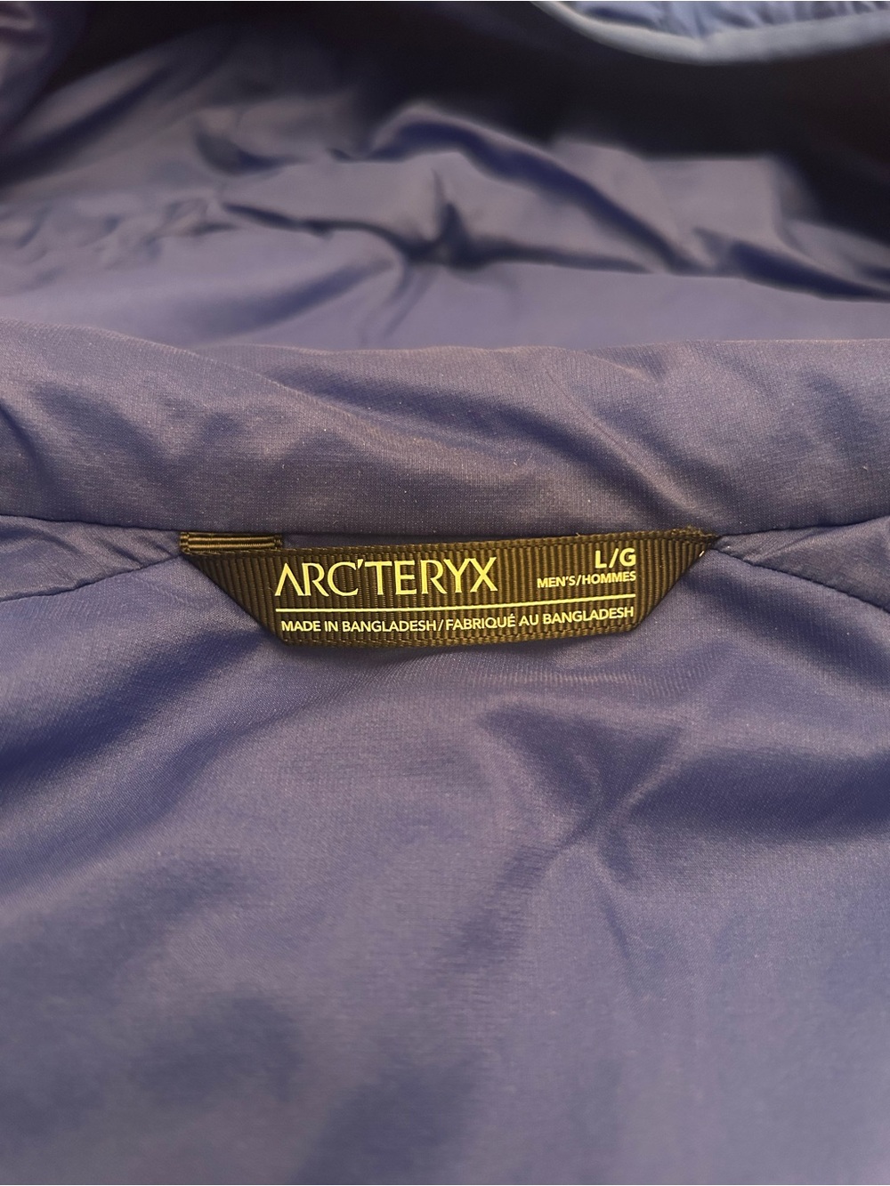 Arc'teryx Atom Men’s L Blue Hooded Jacket - Picture 4 of 8
